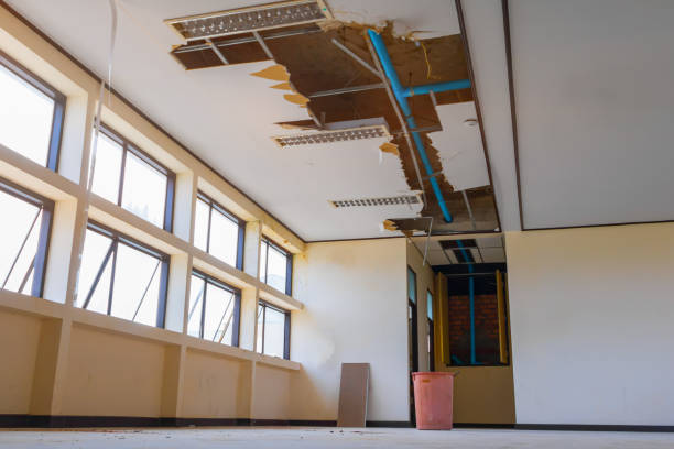 Best Local water damage restoration  in Tangent, OR