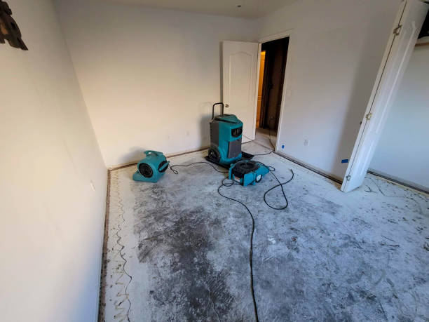 Best Carpet water damage restoration  in Tangent, OR