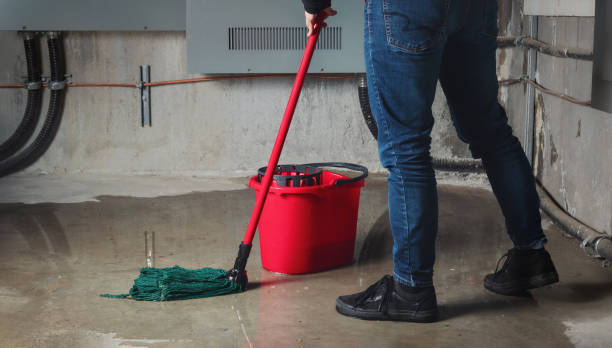 Best Water damage contractors near me  in Tangent, OR