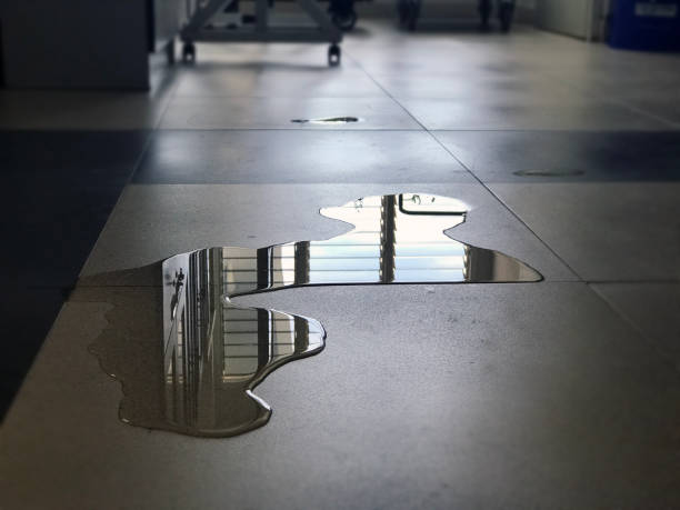 Best Commercial water damage restoration  in Tangent, OR
