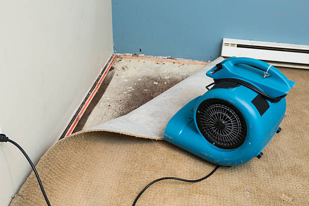 Best Commercial water damage restoration  in Tangent, OR